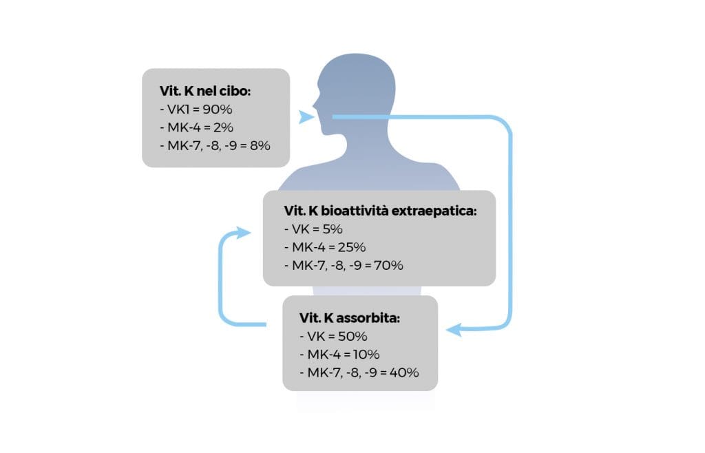 vitamina K2